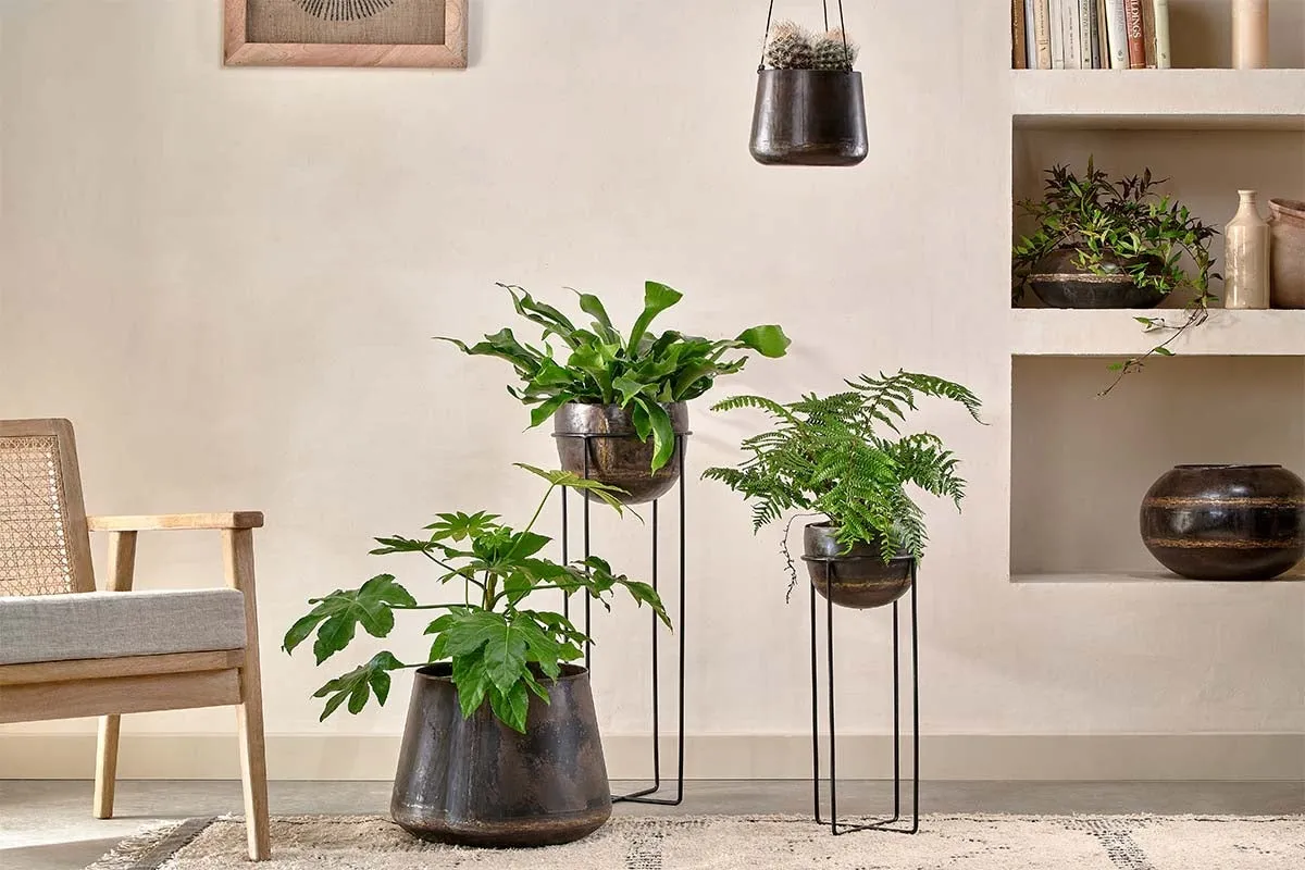 Endo Reclaimed Iron Planter Stand