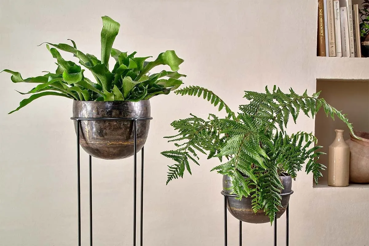 Endo Reclaimed Iron Planter Stand