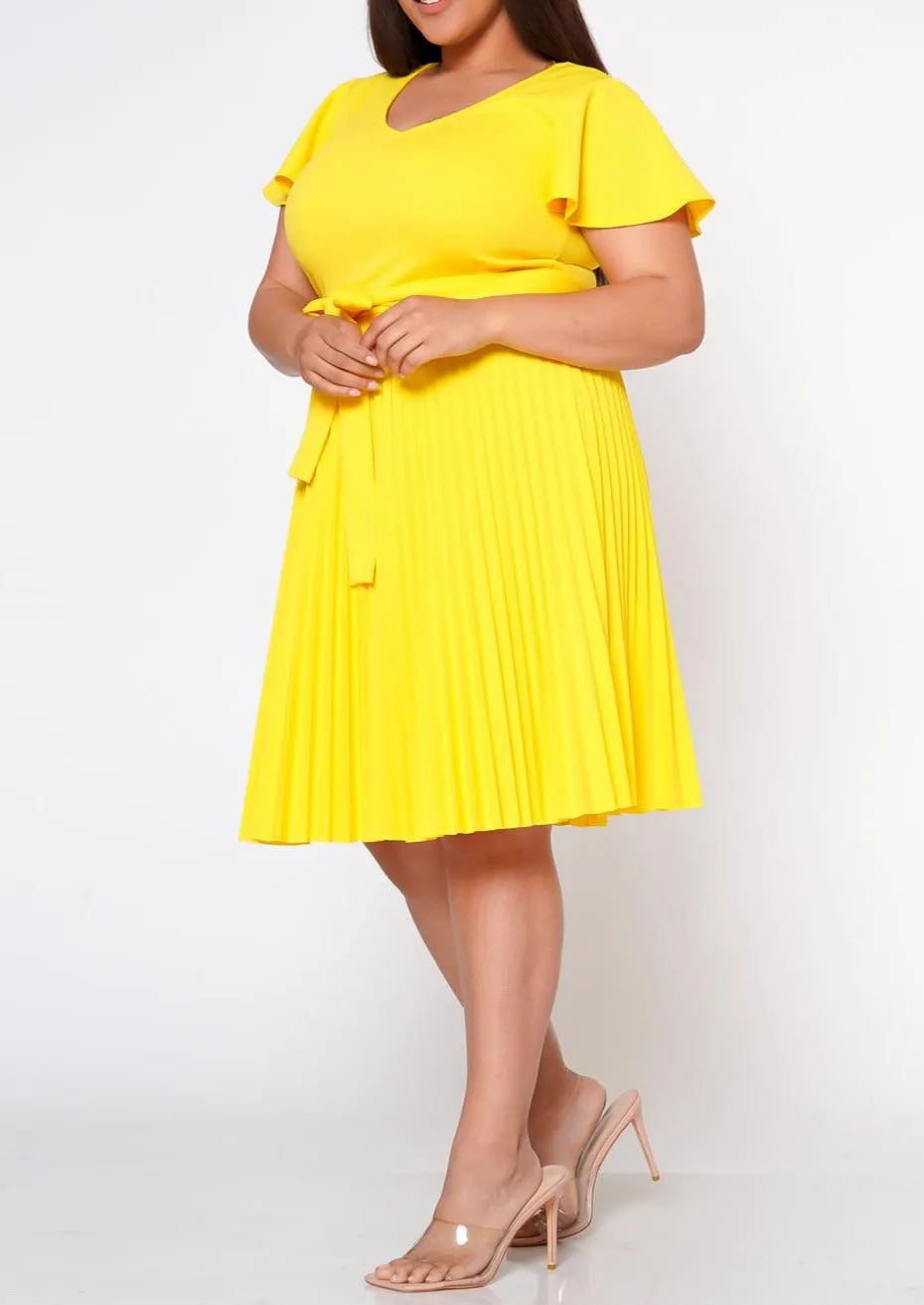 HI Curvy Plus Size Women Pleated Flare Mini Dress