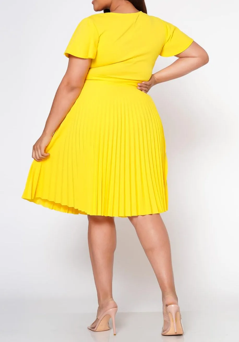 HI Curvy Plus Size Women Pleated Flare Mini Dress