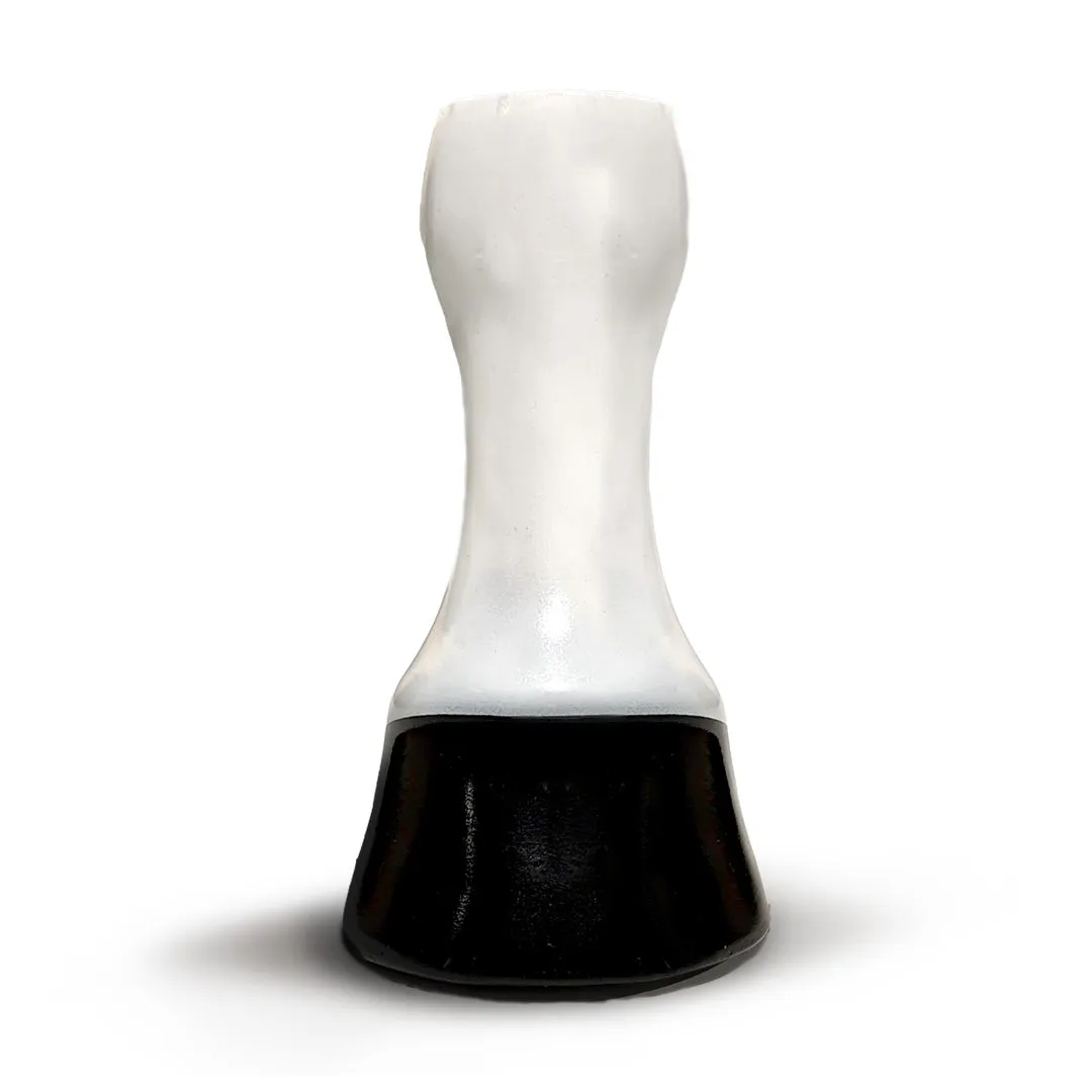 Horse Leg & Hoof Model