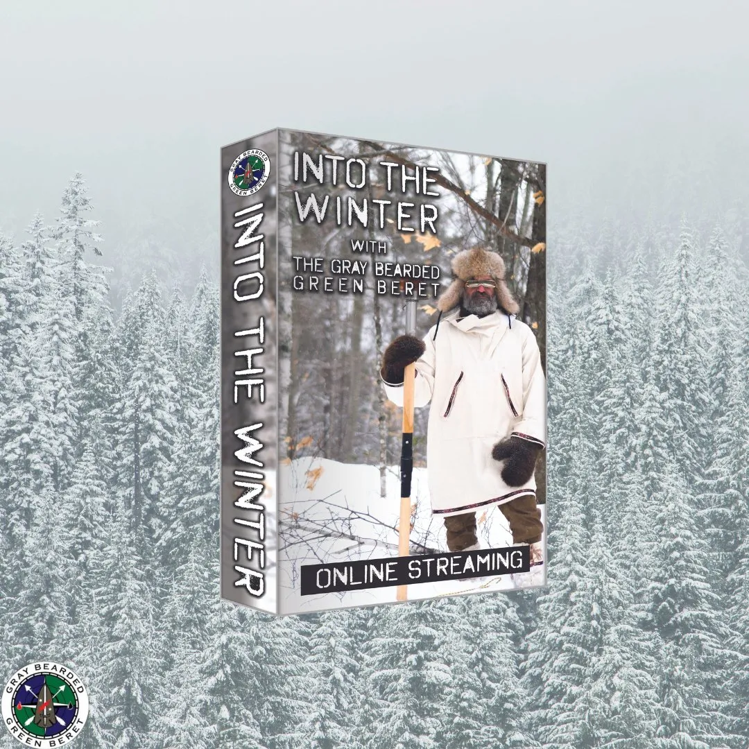 Into the Winter (Online Streaming)