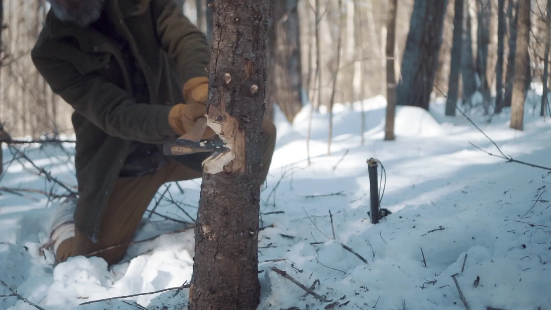 Into the Winter (Online Streaming)