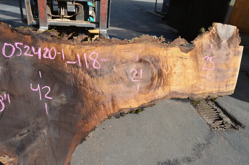 Oregon Black Walnut Slab 052420-01