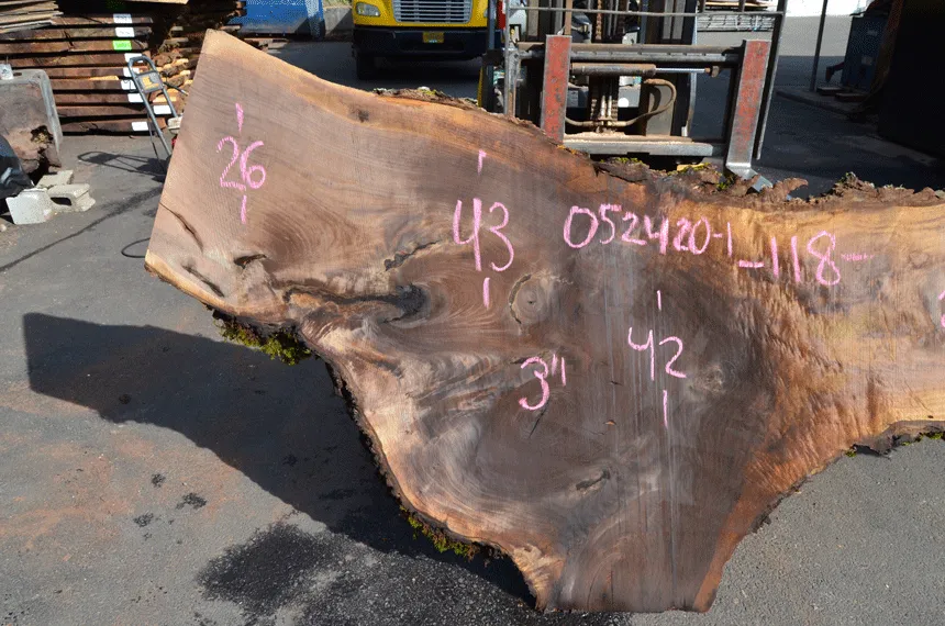 Oregon Black Walnut Slab 052420-01