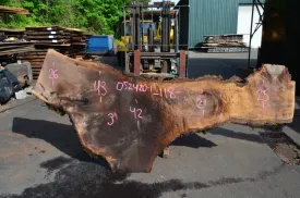 Oregon Black Walnut Slab 052420-01